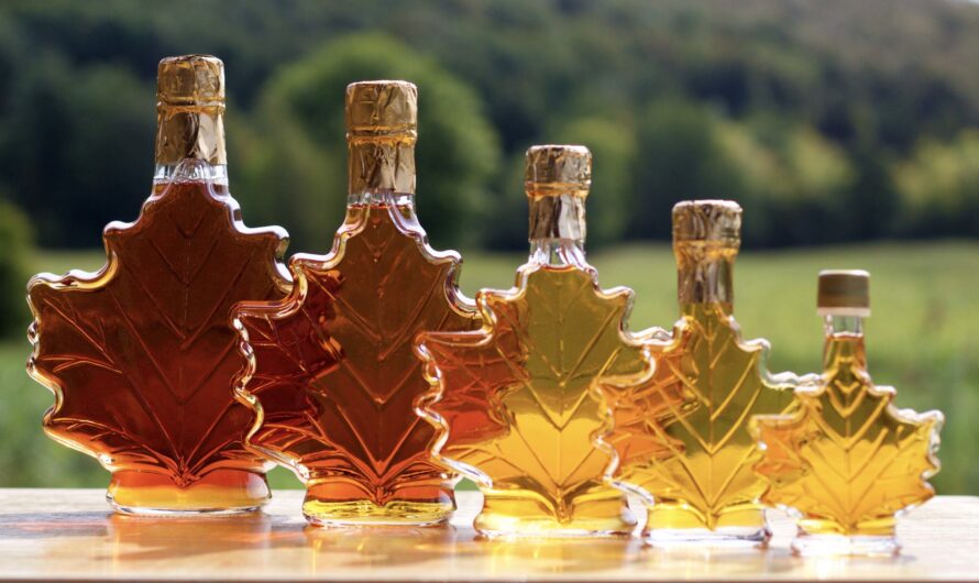 Maple Water Market is Estimated to Witness High Growth Owing to Increasing Health Consciousness