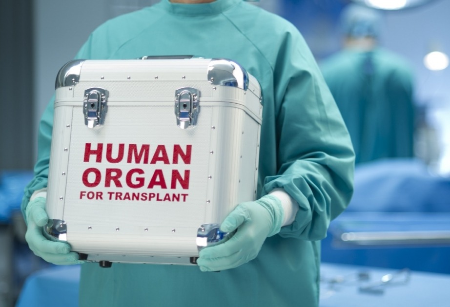 Organ Transplant Immunosuppressant Drugs