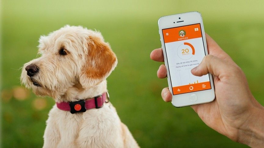 Pet Tech Market is Estimated to Witness High Growth Owing to Rising Pet Humanization