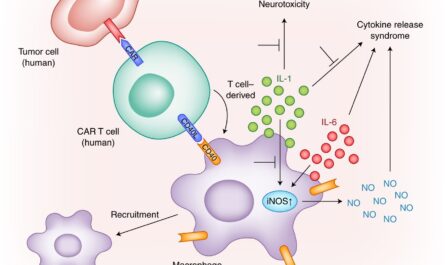 SOUTH KOREA CAR-T CELL THERAPY